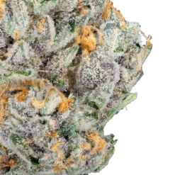 Alternative view of Strawberry Express