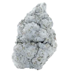 Snow Balls