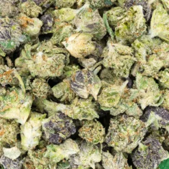 Alternative view of Indoor Micros